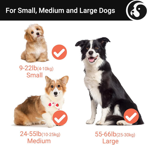 Happy & Polly Retractable Dog Leash - 16.4ft with Flashlight, Bungee Heavy Duty Tangle Free for Medium Large Dogs