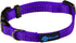 Max and Neo NEO Nylon Buckle Reflective Dog Collar - We Donate a Collar to a Dog Rescue for Every Collar Sold (X-Small,