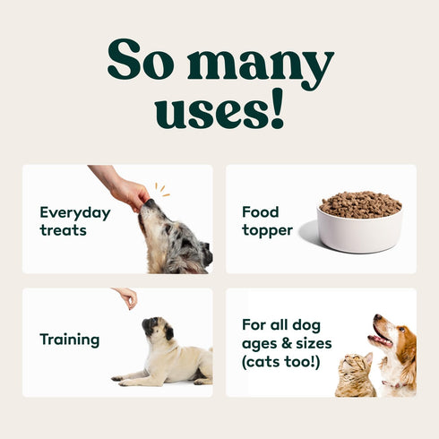 Freeze Dried Dog Treats - Beef Liver, Raw Single Ingredient for Snacks, Training, Dog Food Toppers, 2 oz