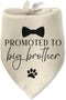 Luptiteuy Promoted to Big Brother Baby Announcement Dog Bandana Gender Reveal Gift Pregnancy