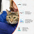 Cozy Comfort Carrier - Small Cobalt Blue Cat Carrier, Soft for Grooming, Vet Visits, and Travel