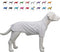 Lovelonglong Pet Clothing Dog Costumes Blank T-Shirt Tee Shirts for Dachshund Dogs, Corgi 100% Cotton White D-M