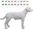 Lovelonglong Pet Clothing Basic Blank T-Shirt Tee for Small Dogs - White, Size L