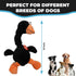 SPOT 14 Chirpies Plush Dog Toy Bird Sound Squeaky Toy for Small and Medium Dogs, Light to Moderate Chewers, Stretchy