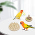 MinrzPet 4-in-1 Set Bird Activity Mini Skateboard, Stacking Rings, Rattle & Colorful Peg Toy | Interactive Toys