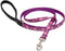 LupinePet Originals 1/2" Padded Handle Leash, Rose Garden, 4-Foot for Small Pets