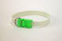 Davis FurEver Brite Glow in The Dark Pet Safety Collar, Green, Small to Medium