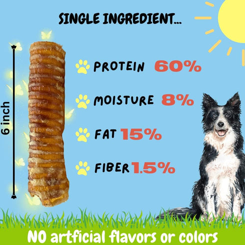 6 Inch (6 Pack) 100% BULLYSTICKS & MORE Beef Trachea | Grass Fed | Long Lasting Dog Chews | Parents Choice Treats