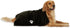 Bone Dry Absorbent Microfiber Pet Grooming Towel Collection, X-Large 41x23.5", Embroidered Black