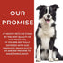Mighty Petz No Chew Spray for Dogs, 8oz. Bitter Apple Dog Repellent, Natural Ingredients, Safe on All Surfaces