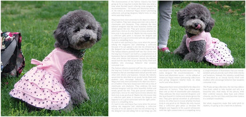 Hdwk&Hped Dog Dress with Leash Ring, Princess Multi-Layer Pleated Skirt for Small Dog Puppy Cat (Pink #1)