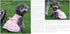 Hdwk&Hped Dog Dress with Leash Ring, Princess Multi-Layer Pleated Skirt for Small Dog Puppy Cat (Pink #1)