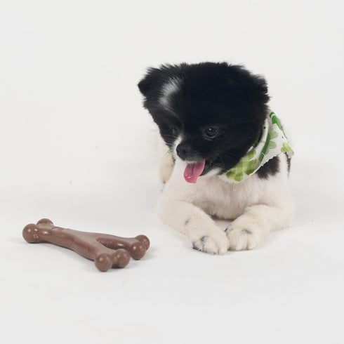 SPOT Bam-Bones Wishbone Dog Chew - Durable Bamboo Fiber Toy for Light to Moderate Chewers, 5.25in, Bacon Flavor