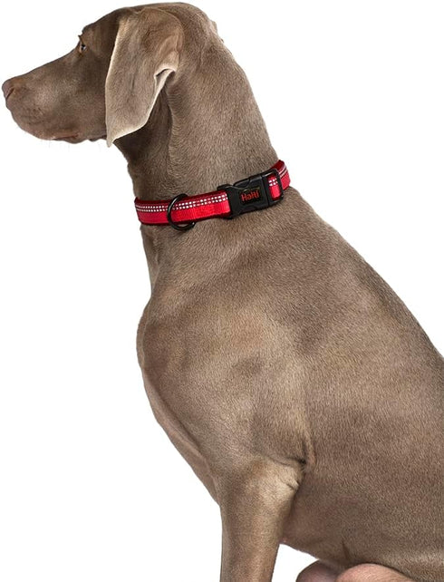 HALTI Comfort Collar - Nylon and Neoprene-Padded Dog Collar, Reflective, Easy to Fit, Large Dogs (Size L, Purple)