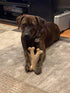 SPOT Bam-Bones Wishbone Dog Chew - Made with Strong Bamboo Fiber, 7in, Chicken Flavor for Light to Moderate Chewers