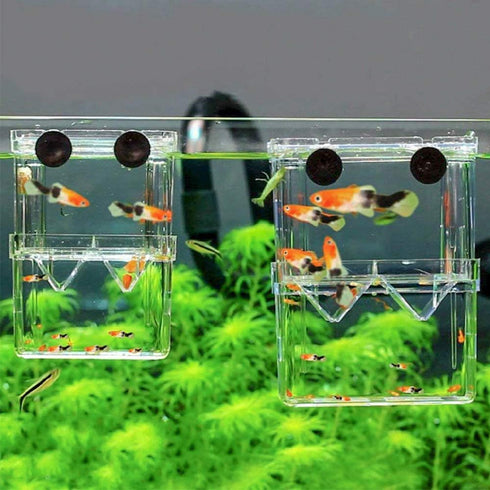 Senzeal Aquarium Fish Breeder Box, Plastic Isolation Breeding Box for Baby Fish, Shrimp, Clownfish, Guppy