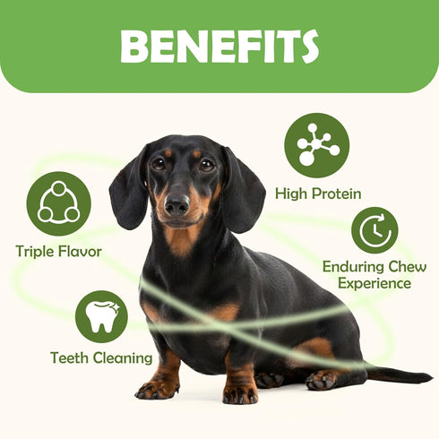 MON2SUN 5 Inch 21.16 Oz (30 Count-Pack 1) Dog Treats, Triple Flavor Chicken Liver Duck and Chicken Wrapped Rawhide