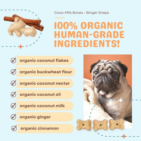 CocoTherapy Ginger Coco-Milk Bones - 3 Pack, 6 Ounces Each, USDA Organic