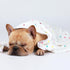 1 Pack 3 Blankets - Super Soft Cute Dot Pattern Pet Blanket - Flannel Throw for Dog Puppy Cat - Beige/Brown/Pink Medium