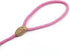 Coolrunner 5 FT Highly Reflective Nylon Dog Leash for Small and Medium Dogs (10-80 lb) - Adjustable Training Slip Lead