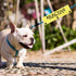 JXGZSO Reactive Not Aggressive Do Not Pet Dog Leash Sleeve, Reactive Dog Leash Wrap
