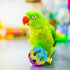 Hypeety Pet Parrot Toy - Colorful Plastic Birds Ball with Bell for Budgie, Cockatoo, Rabbit, Cat (1PC Color Random)