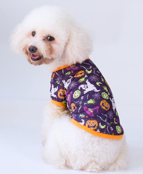 XIAOYU 3 Pieces Halloween Dog Shirt - Funny Black Bat, Magic Hat, Pumpkin Head T-Shirt for Small Dogs & Cats (S)