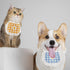 4PCS WEBEEDY Cute Dog Lace Bandana Puppy Cat Flower Scarfs Washable Daily Handkerchief Semicircle Scarf Bibs Saliva