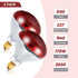 6 110V 175W Bulbs E26 Bulbs Treela Pcs Red Infrared Medium Base, Red Heat Lamp Flood Light Heat Light for Bathroom