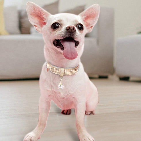 PetsHome Cat Collar, Dog Collar with Bling Rhinestones, Premium PU Leather Adjustable Collars for Medium Dogs (Gold)