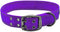Max and Neo MAX Reflective Metal Buckle Dog Collar - X-Large, Purple, We Donate a Collar to a Dog Rescue