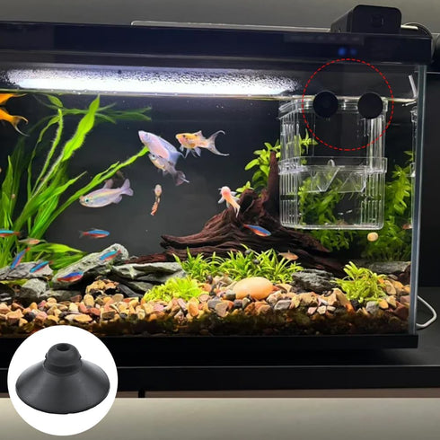 24 PCS Black Fish Tank Suction Cup Clips - Accessories for Tank Pump and Overhead Line Tube