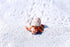 Generic 5 lbs. Hermit Crab Sand Substrate, All Natural Premium White Sand Mixture, for Hermit Crab Tanks