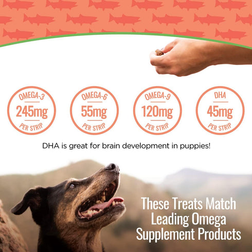 Smart Cookie Salmon Jerky Dog Treats - DHA, Omega Strips for Dogs & Puppies, 3oz Bag, Pack of 3