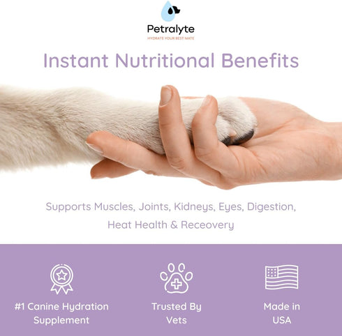 32 Packets Dog Electrolytes and Joint Supplement | Hydration Support for Dogs w/Glucosamine, Chondroitin & More |