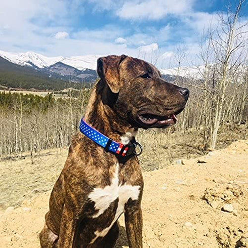 Native Pup American Flag Dog Collar, Red White and Blue, Adjustable for Small, Medium, Large Breed Dogs (Large, Flag I)