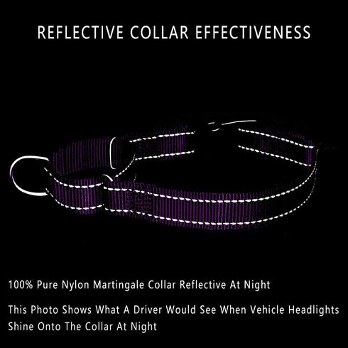 PLUTUS PET Reflective Martingale Collar with Quick Snap Buckle, No Pull Choker for Small Medium Large Dogs, L, Purple