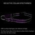 PLUTUS PET Reflective Martingale Collar with Quick Snap Buckle, No Pull Choker for Small Medium Large Dogs, L, Purple