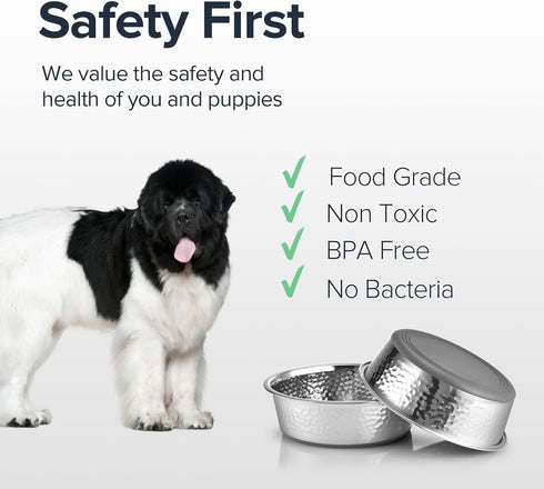 2 Pack Hammered Stainless Steel Dog Bowls, Premium Metal Dog Bowls with Non Slip Rubber Bottom, Dishwasher Safe, Easy to Clean, 11 Cup, Gray Bottom