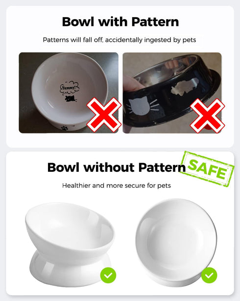 Elevated Cat Food Bowl, 5 Oz Ceramic Raised and Tilted Water Bowl, Anti Vomiting Dishes for Small Dogs and Cats, White