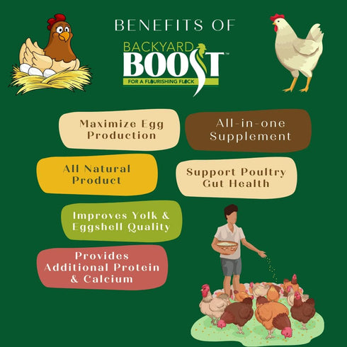 2.5 Backyard Boost Daily Essentials Chicken Feed | Pelleted High Protein Food for Laying Hens | Pound Bag