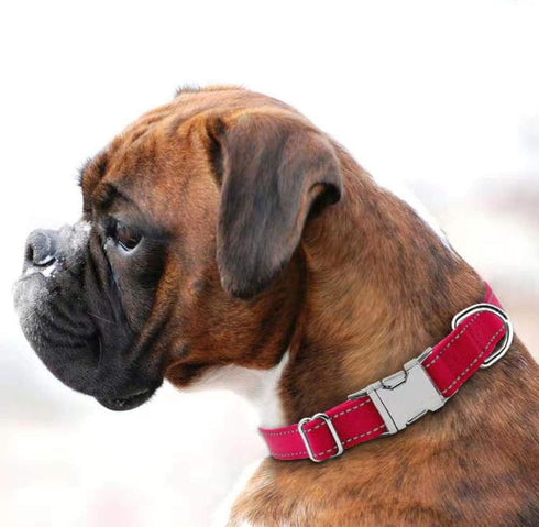 Reflective Dog Collar with Metal Buckle, Adjustable Safety Nylon for Small Medium Large Dogs, ID Tag Ring Included