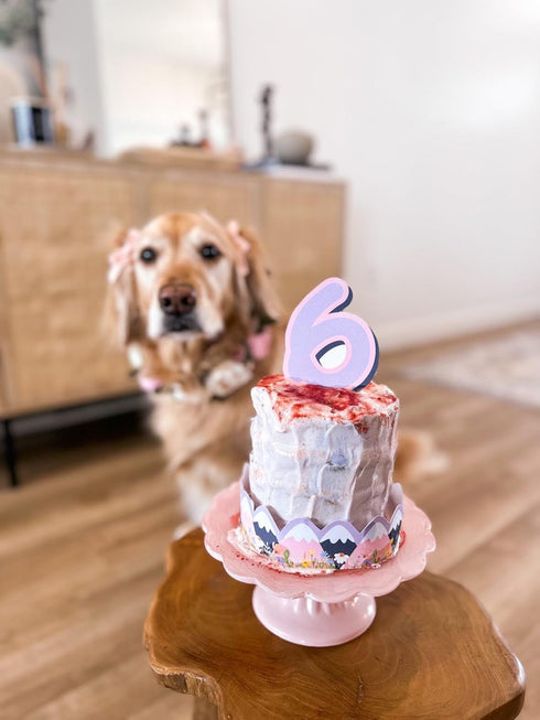 Barley's Bakes Birthday Cupcake Mix for Dogs, Peanut Butter Flavor, 7.5 Ounce, Gluten Free, Made in the USA