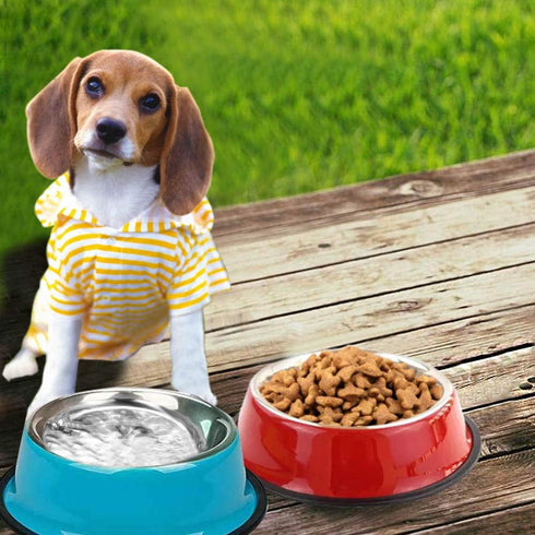 YUDANSI 3 Pack Stainless Steel Cat Bowls - Puppy Small Dog Food and Water Dish Set - Non Skid Anti Slip
