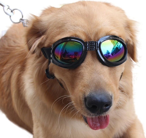NACOCO Pet Glasses Dog Sunglasses for Golden Retriever and Samoyed, Big Dog Goggles (Black).