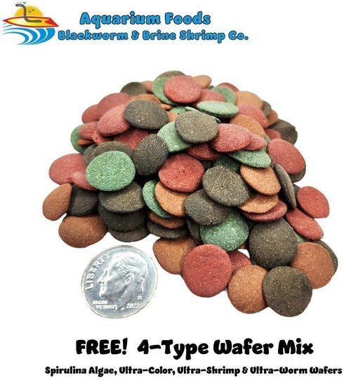 Aquatic Foods Inc. Mexico50 Freeze Dried California Blackworms with Our Beef Heart Mix for Discus, Cichlids, All