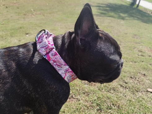 Heavy Duty Adjustable Nylon Martingale Dog Collar for Medium Large Dogs, Pink, for Walking Training (L:45-53CM)