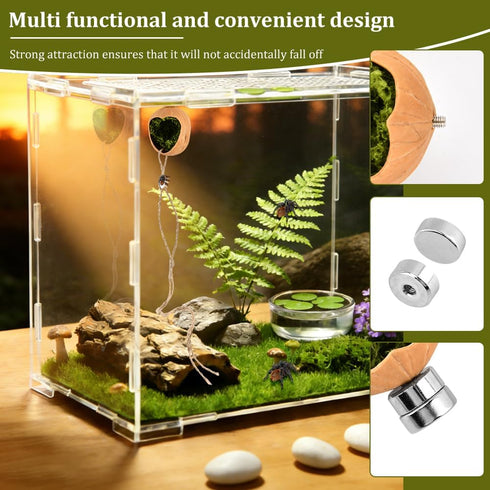 Lovarisse Insects(Wood,Size:4.5 3cm) Walnut Skin Spider Shelter,Magnetic Jumping Spider Habitat,Handmade Climbing