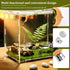 Lovarisse Insects(Wood,Size:4.5 3cm) Walnut Skin Spider Shelter,Magnetic Jumping Spider Habitat,Handmade Climbing