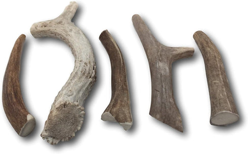 Premium Large Antler - ONE Pound (+/- an Ounce) Variety Pack - Top Dog Chews